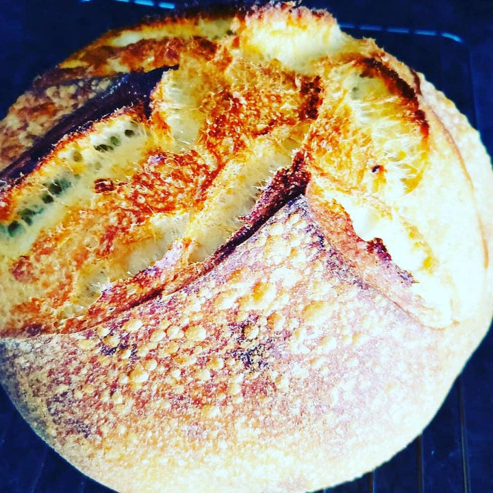 130 Year Old Canadian Sourdough Starter | Organic | Heirloom - Curated Joy | Natural Home