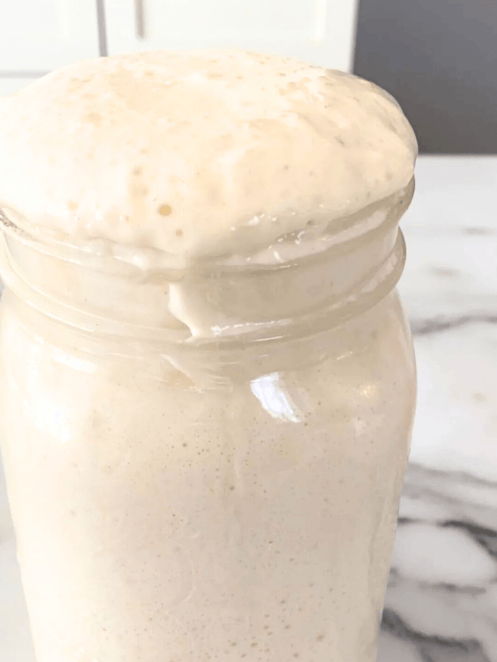 130 Year Old Canadian Sourdough Starter | Organic | Heirloom - Curated Joy | Natural Home