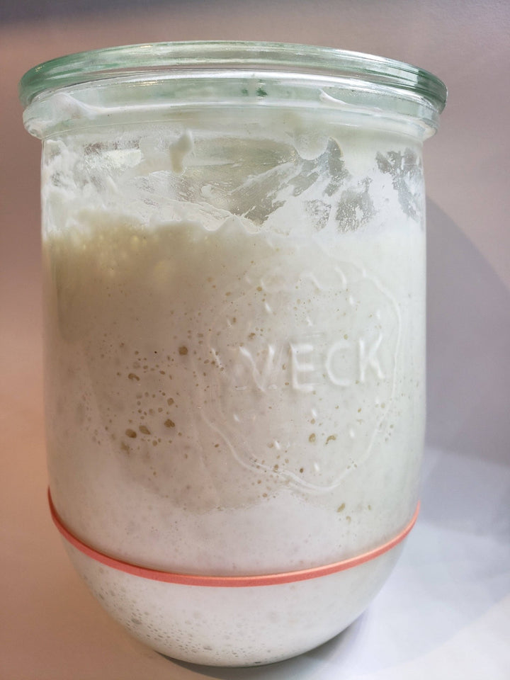 130 Year Old Canadian Sourdough Starter | Organic | Heirloom - Curated Joy | Natural Home