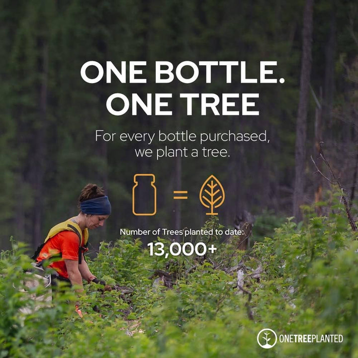 Black Seed Oil | Pure Plant - Based - Nigella Sativa Cumin Seed - Curated Joy | Natural Home