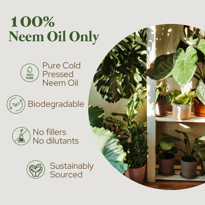 Organic Neem Oil | Gardening & Skin | Cold Pressed | 16 and 32 oz - Curated Joy | Natural Home
