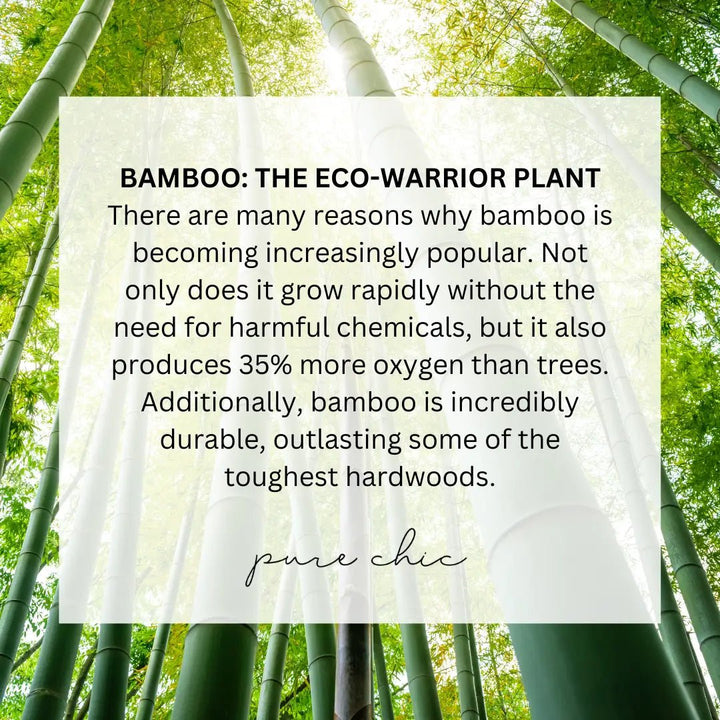 Re - usable Bamboo/Cotton Rounds with Bamboo Container - Curated Joy | Natural Home