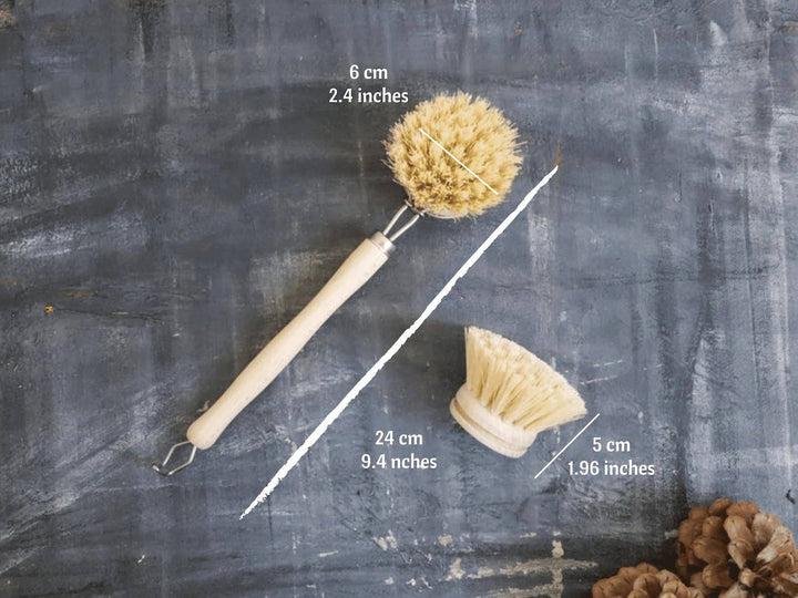 Sisal Dish Brush Refill (Brush Head Only) - Curated Joy | Natural Home