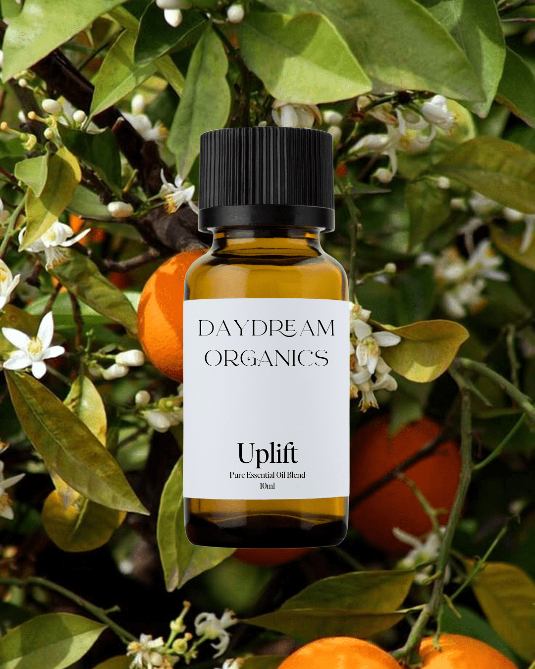 Uplift Essential Oil Blend - Curated Joy | Natural Home