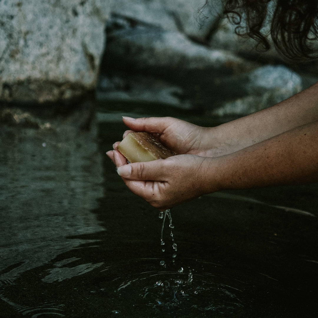 Sealuxe - Citrus Soleil Soap