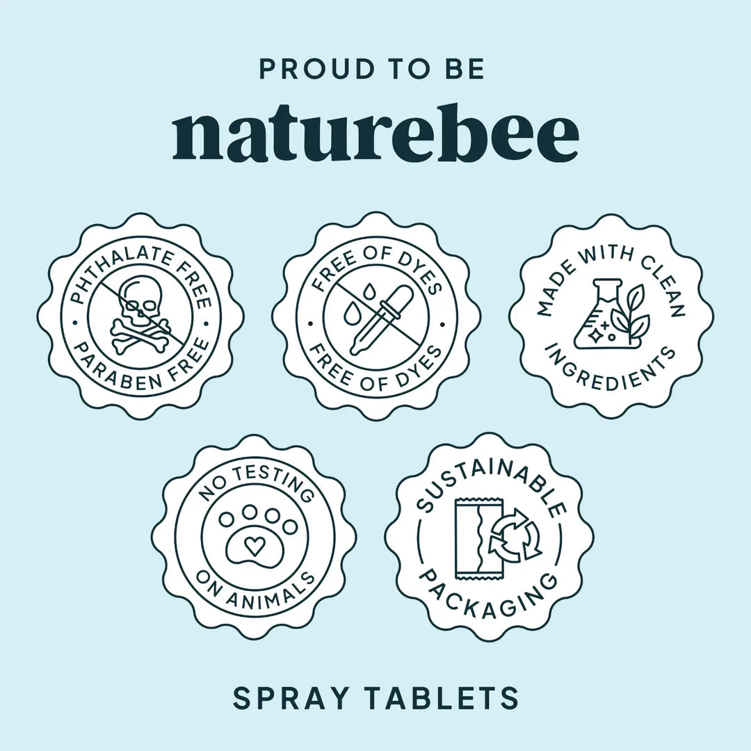 Multi-Purpose Cleaning Spray Refill 2-Pack | Sweet Citrus | NATURE BEE