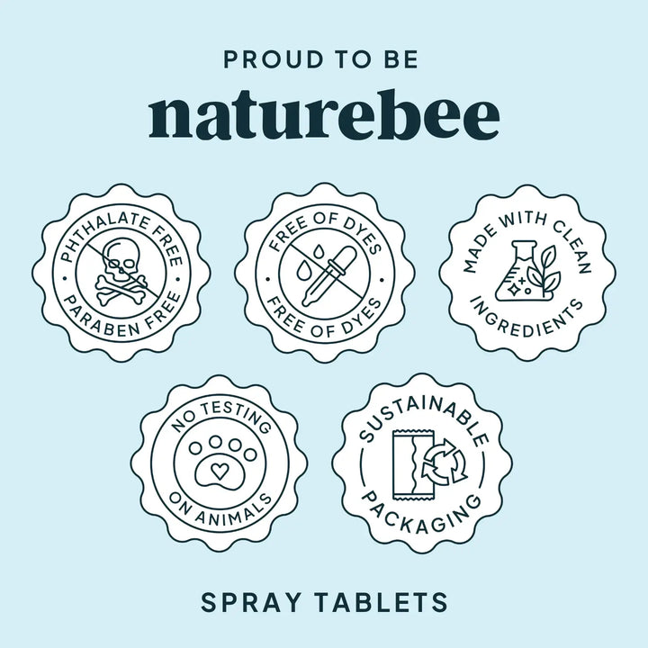 Multi-Purpose Cleaning Spray Refill 2-Pack | Sweet Citrus | NATURE BEE