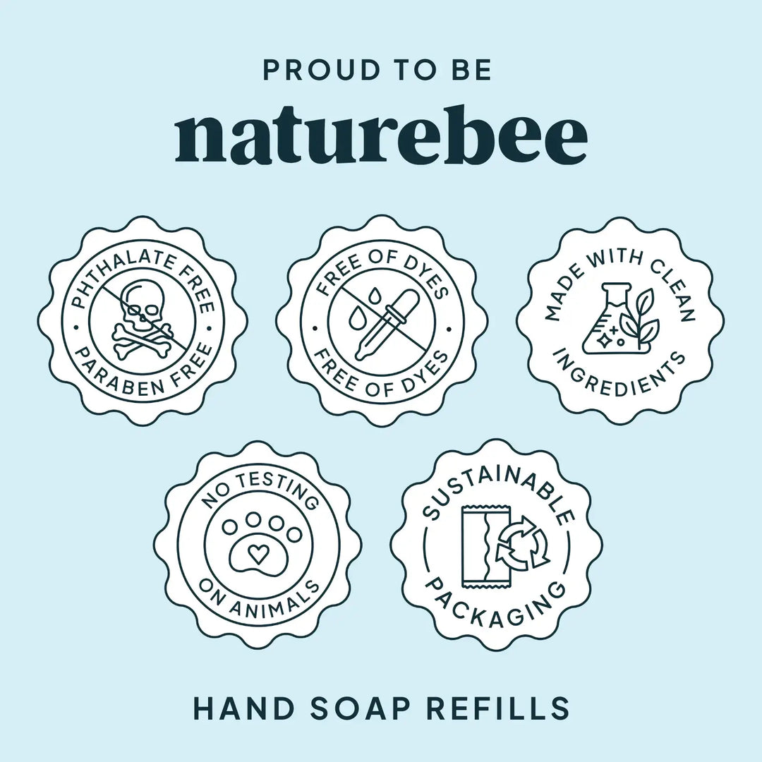 Foaming Hand Soap Refills 2-Pack | Sweet Citrus | NATURE BEE
