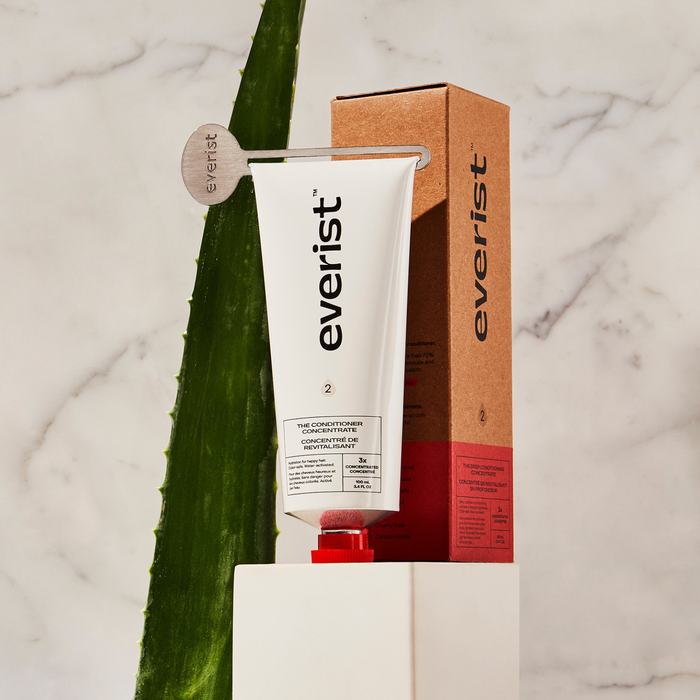 Everist | Deep Conditioning Concentrate