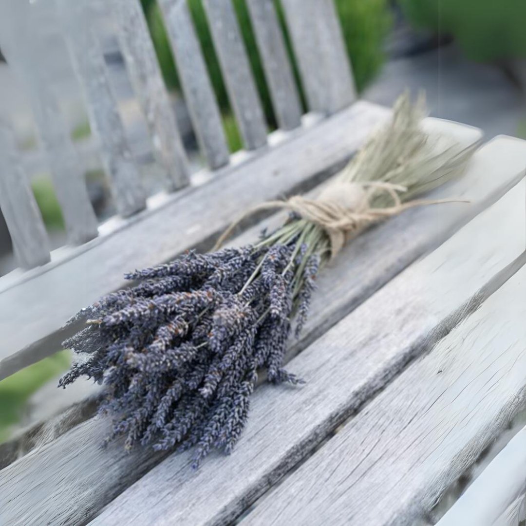 Bilston Farm | Dried French Lavender Bundle - Curated Joy | Natural Home