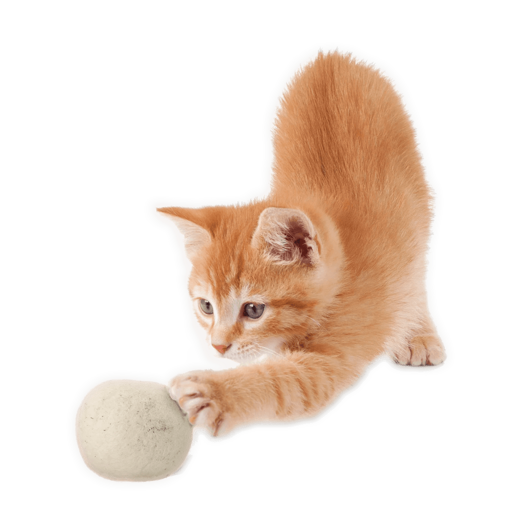 "Catnip Infused" Wool Toys for Cats and Kittens - Set of 2 - Curated Joy | Natural Home