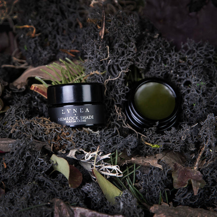HEMLOCK SHADE Solid Perfume | Hemlock, black spruce, vetiver | LVNEA - Curated Joy | Natural Home