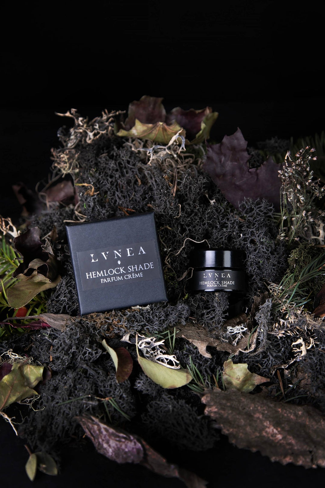 HEMLOCK SHADE Solid Perfume | Hemlock, black spruce, vetiver | LVNEA - Curated Joy | Natural Home