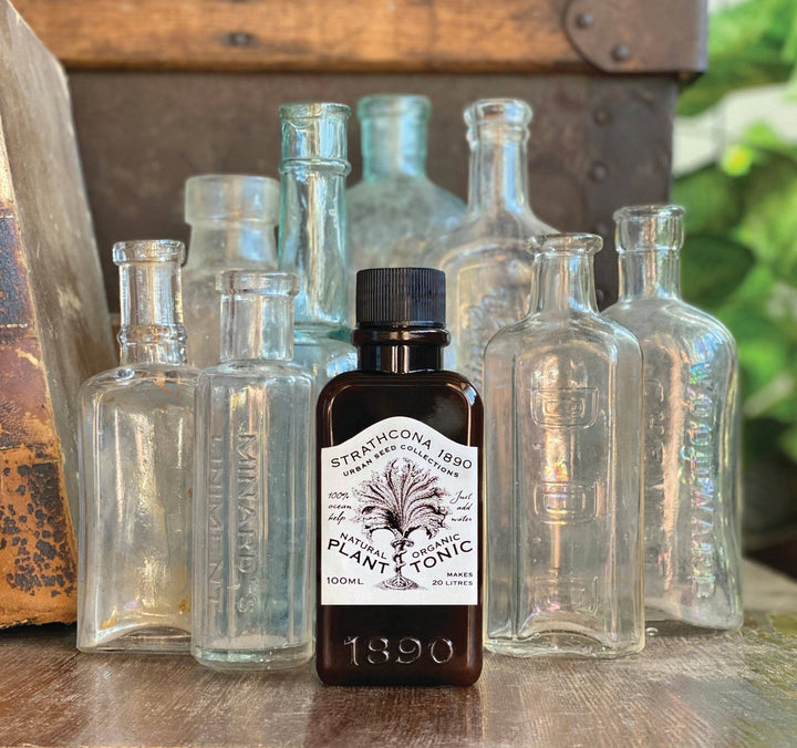 Plant Tonic 100ml - Curated Joy | Natural Home