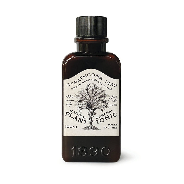 Plant Tonic 100ml - Curated Joy | Natural Home